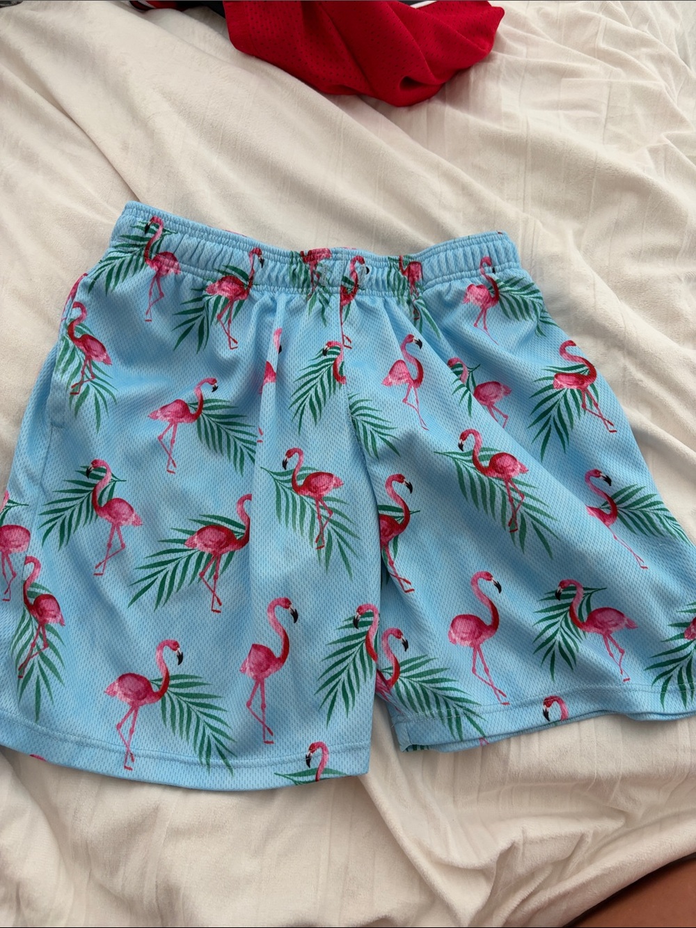 Kids Light Blue Flamingo Print Swim Shorts